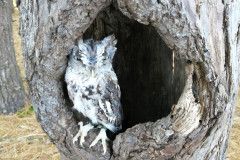 IMG_20201108_094107