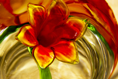 Flower-2nd-place